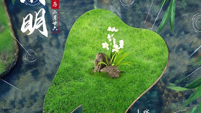 根管治疗，器械选择背后的讲究**